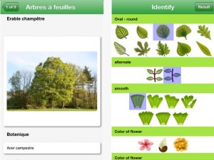 edition-pdf-identifier-arbres-app-gratuite-iphone-ipad-du-jour-4